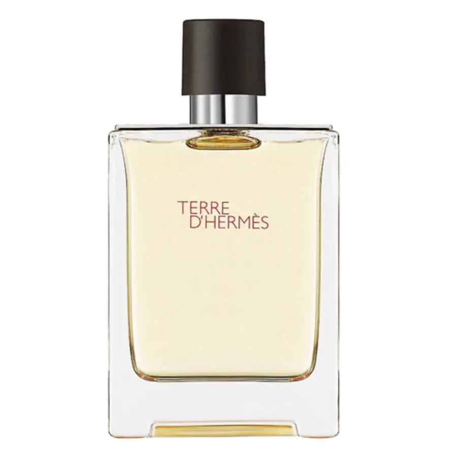 Terre D´hermes By Hermes For Men 6.7 oz EDT Spray